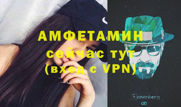 ECSTASY Алзамай