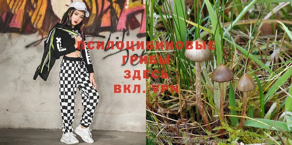 мдма Аркадак