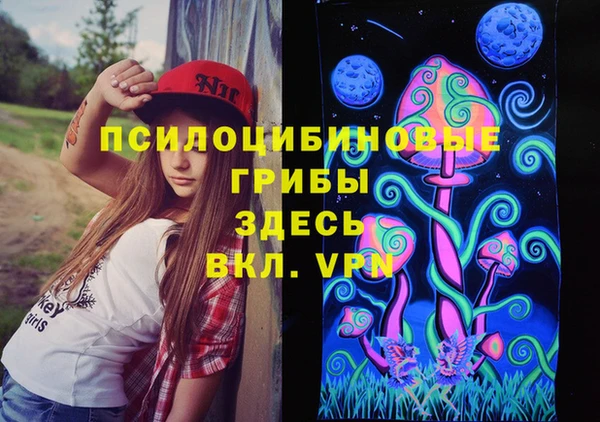 ECSTASY Алзамай