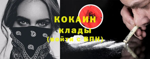ECSTASY Алзамай