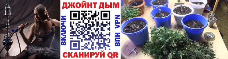 Марихуана VHQ Купить Семёнов